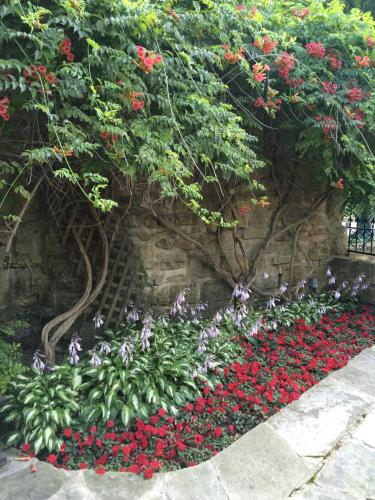 Hotel Galena - photo 17