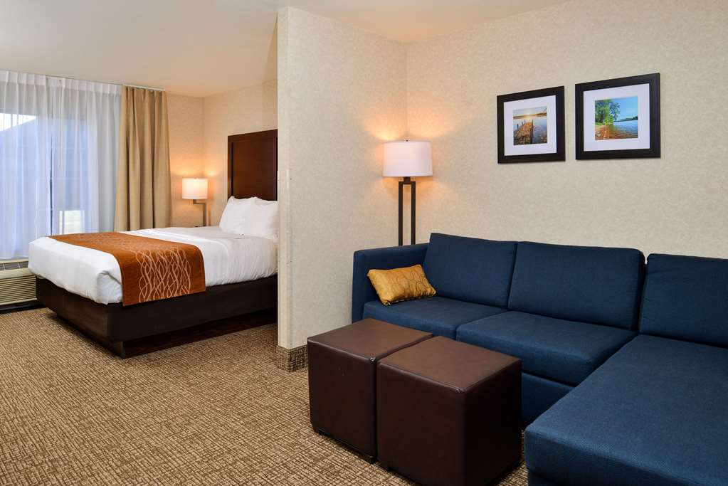 Comfort Inn & Suites Madison North - photo 10