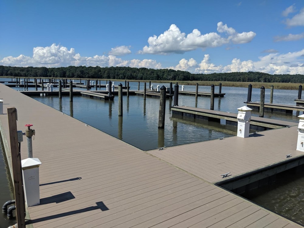 Surry Seafood Company - photo 25