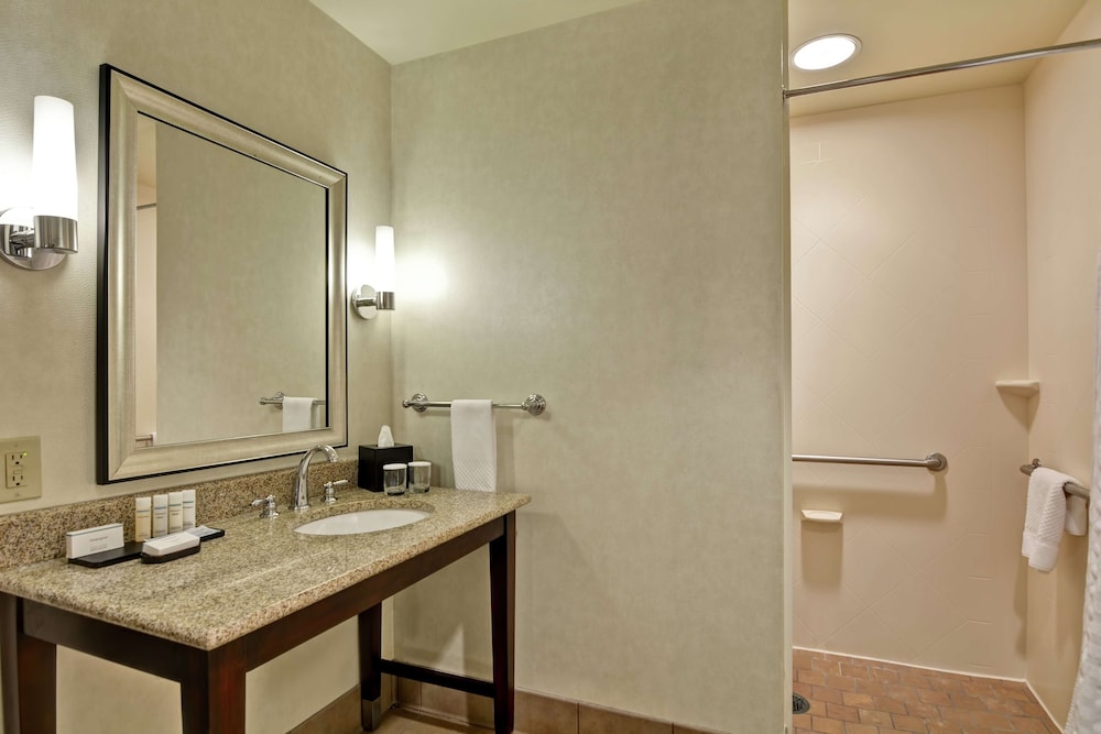Embassy Suites by Hilton Savannah Airport - photo 31