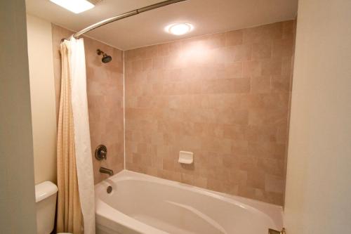 Fazio 4 - photo 7