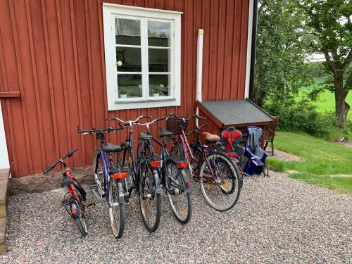 Rinkeby Gård — Nykoeping — photo 4