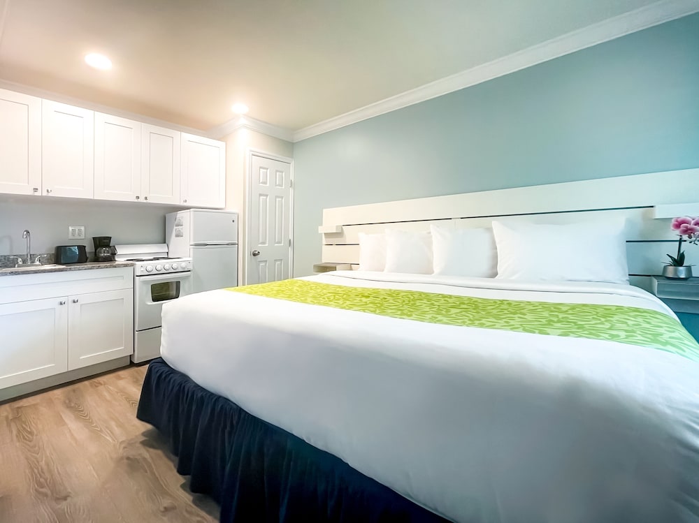 Hollywood Beach Hotels - photo 27