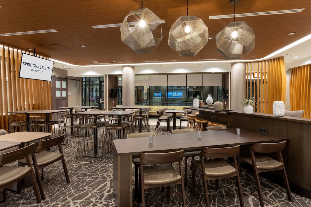 SpringHill Suites by Marriott Minneapolis Maple Grove Arbor Lakes - photo 19