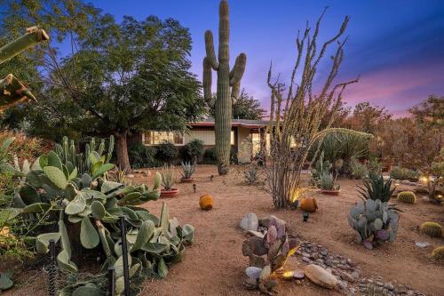 Tranquil Gardens Soaking Pool Ember Stone - last minute hotel in Yucca Valley