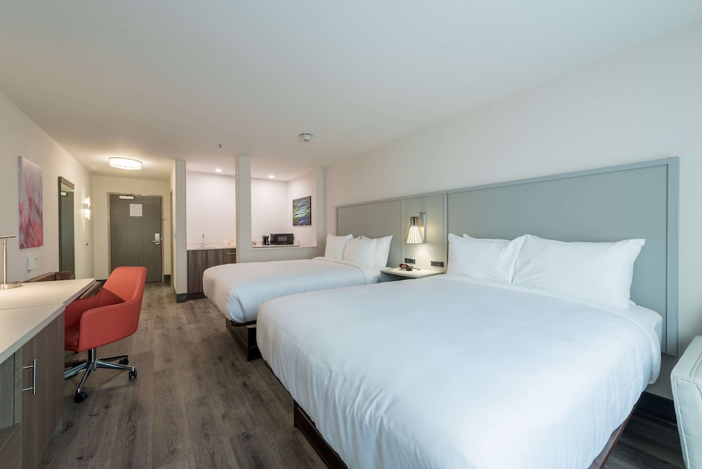 Comfort Suites Colorado Springs East Medical Center Area - photo 46