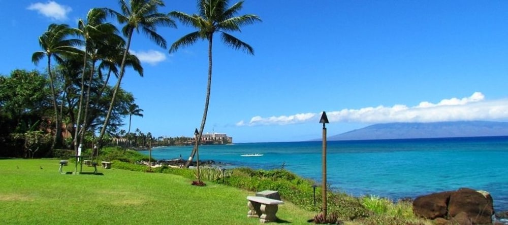 Polynesian Shores - featured photo