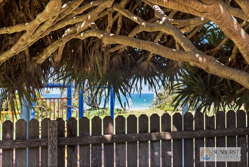Pandanus At Emerald Prime Beach Location Cafes — Emerald Beach