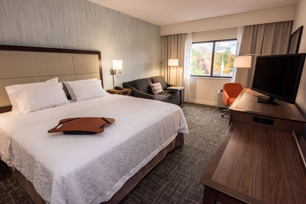 Hampton Inn Albany Western Ave University Area - photo 10
