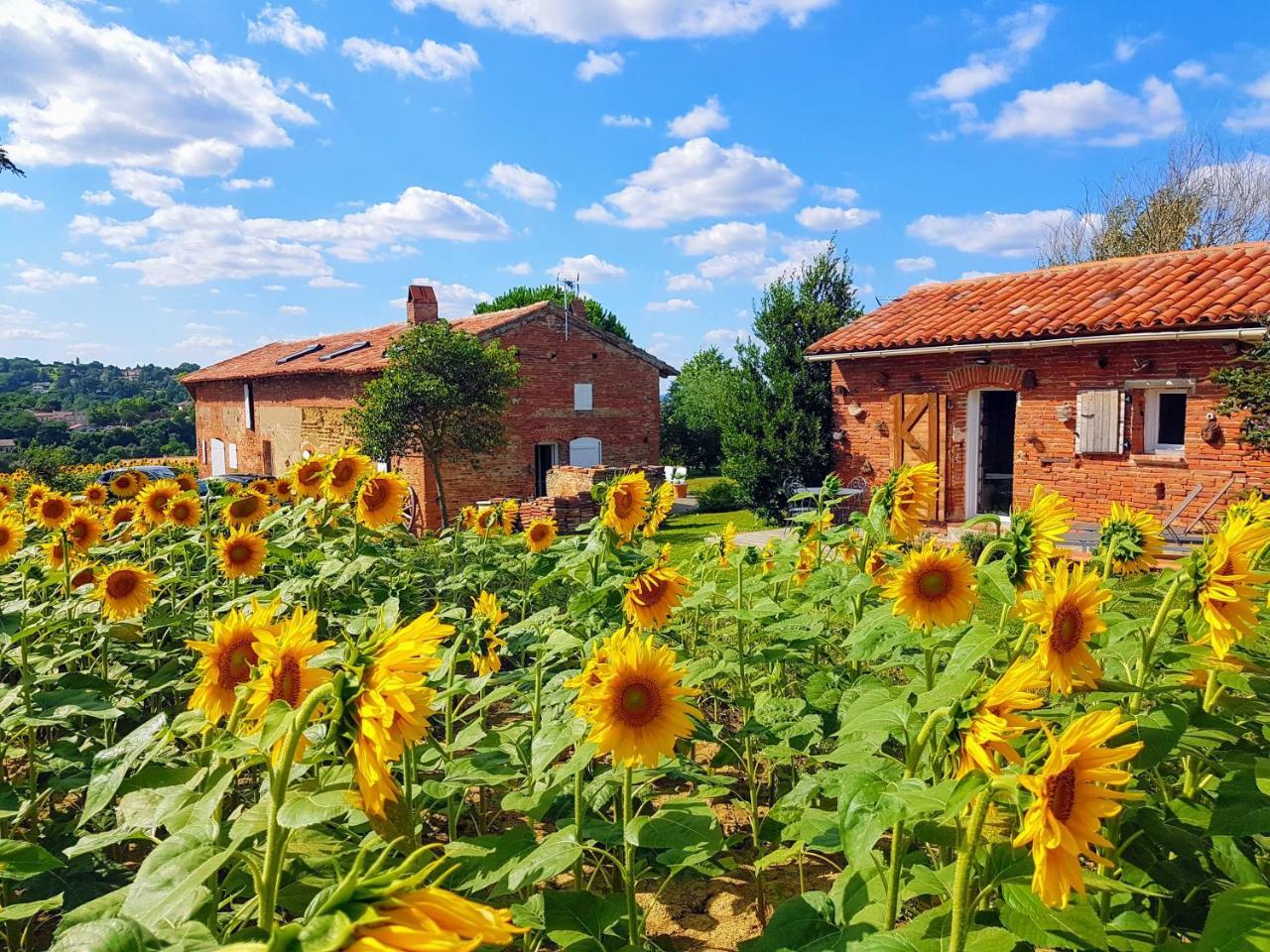 Les Hauts de Sames — hotel in Labege
