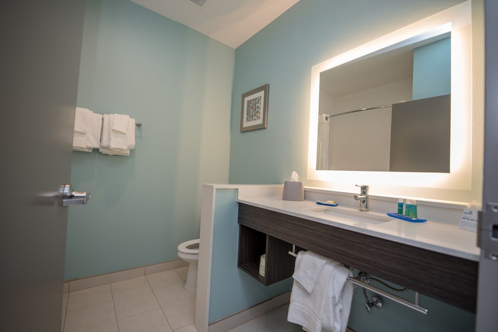 Holiday Inn Express & Suites Lake Charles South Casino Area by IHG - photo 61