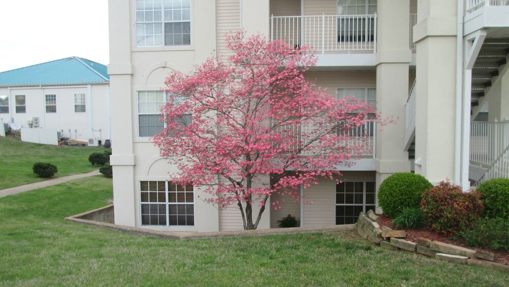 Brook Poolside Walk In Meadow Brook - photo 49