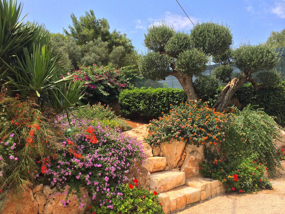 B&B All'ombra degli ulivi — 4-Star Luxury Hotel in Ostuni, Italy