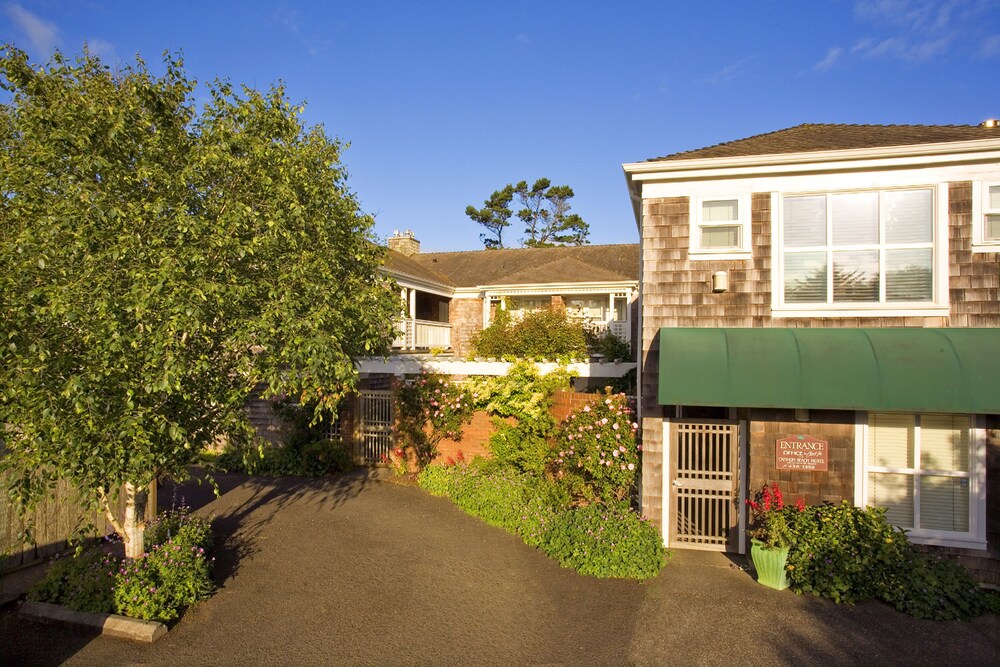 The Courtyard - photo 48