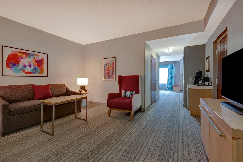 Hilton Garden Inn Tampa Northwest Oldsmar - photo 8