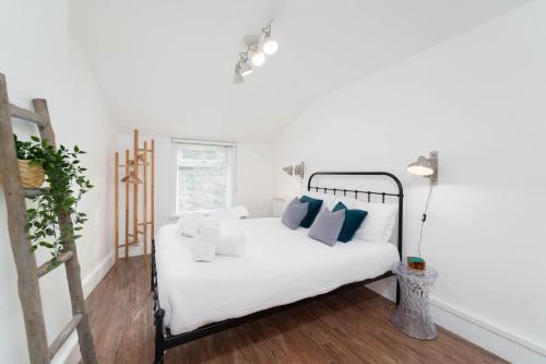 Tiddles in St Ives, United Kingdom