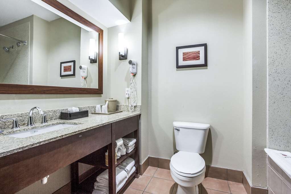 Comfort Inn & Suites Love Field Dallas Market Center - photo 14