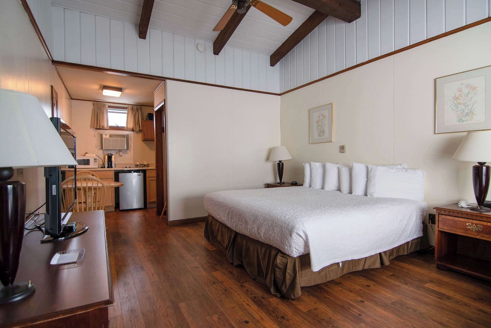 Ocean House Hotel & Motel - photo 48