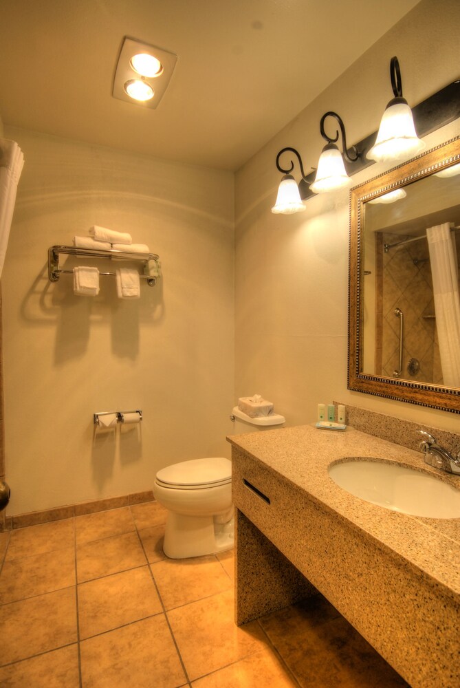 Quality Inn Big Sky - photo 29