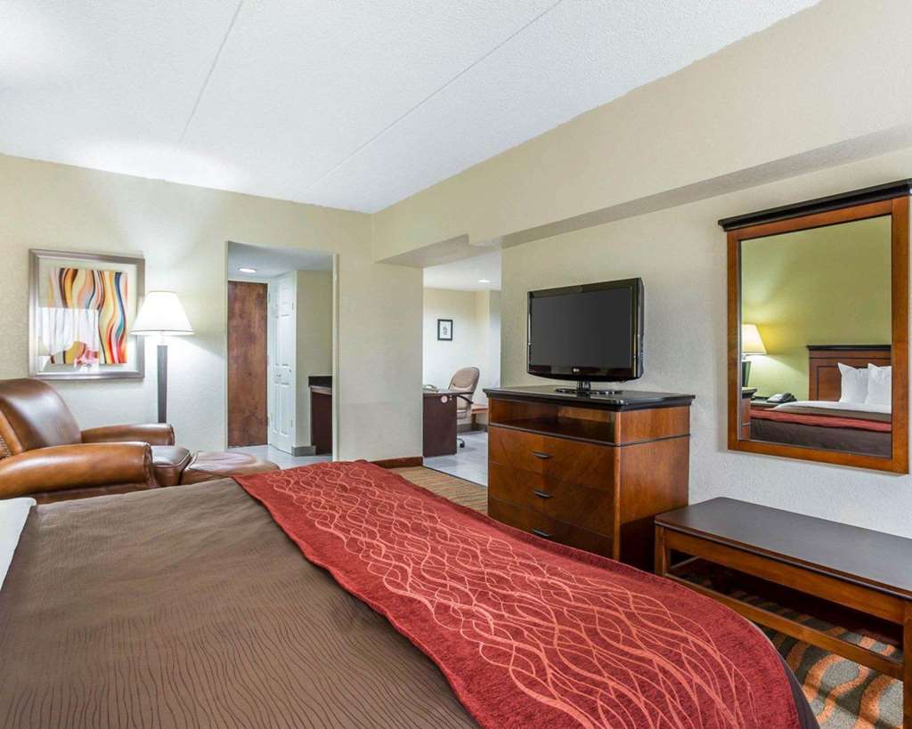 Comfort Inn Conyers - photo 23