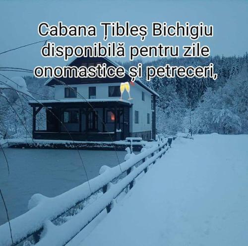 Cabana Țibleș Bichigiu — Bichigiu — photo 3