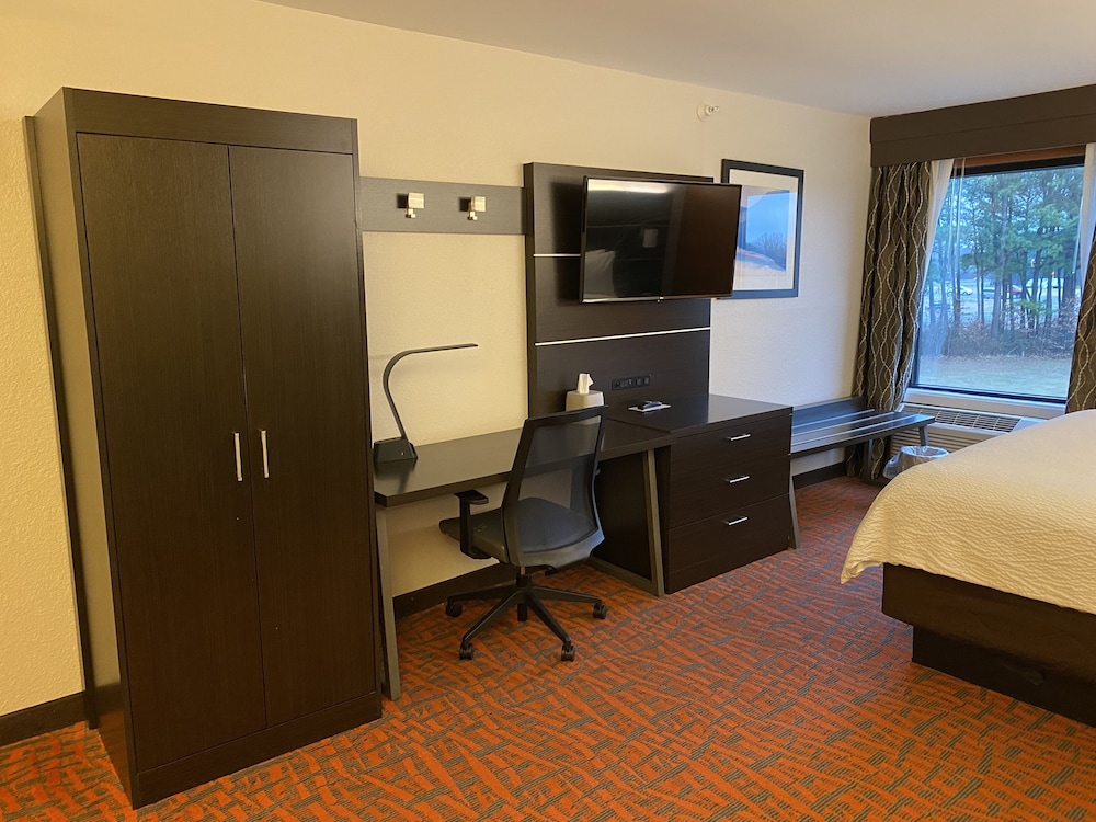 Holiday Inn Express Metropolis - photo 27