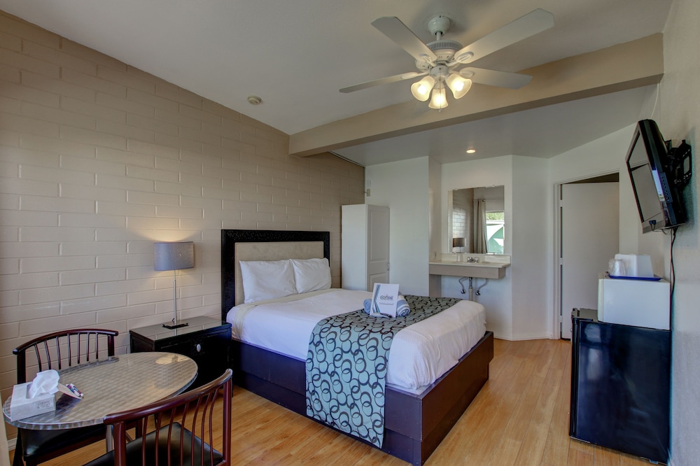 CCBC Resort Hotel A Gay Men's Resort - photo 9