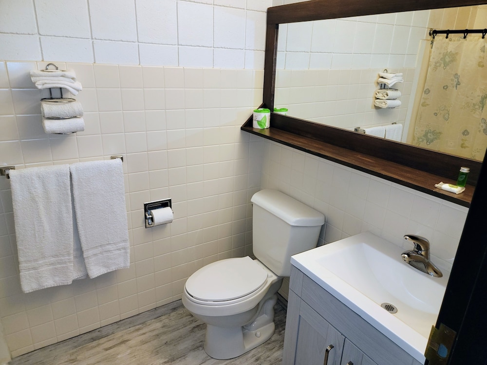 Skyview Motel - photo 30
