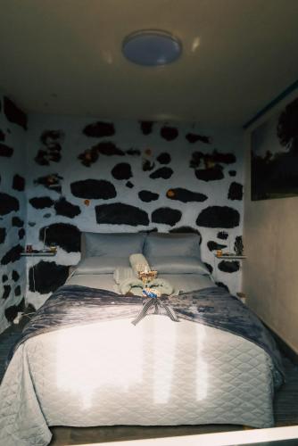 Los Amantes de la naturaleza. in Porto Moniz, Portugal