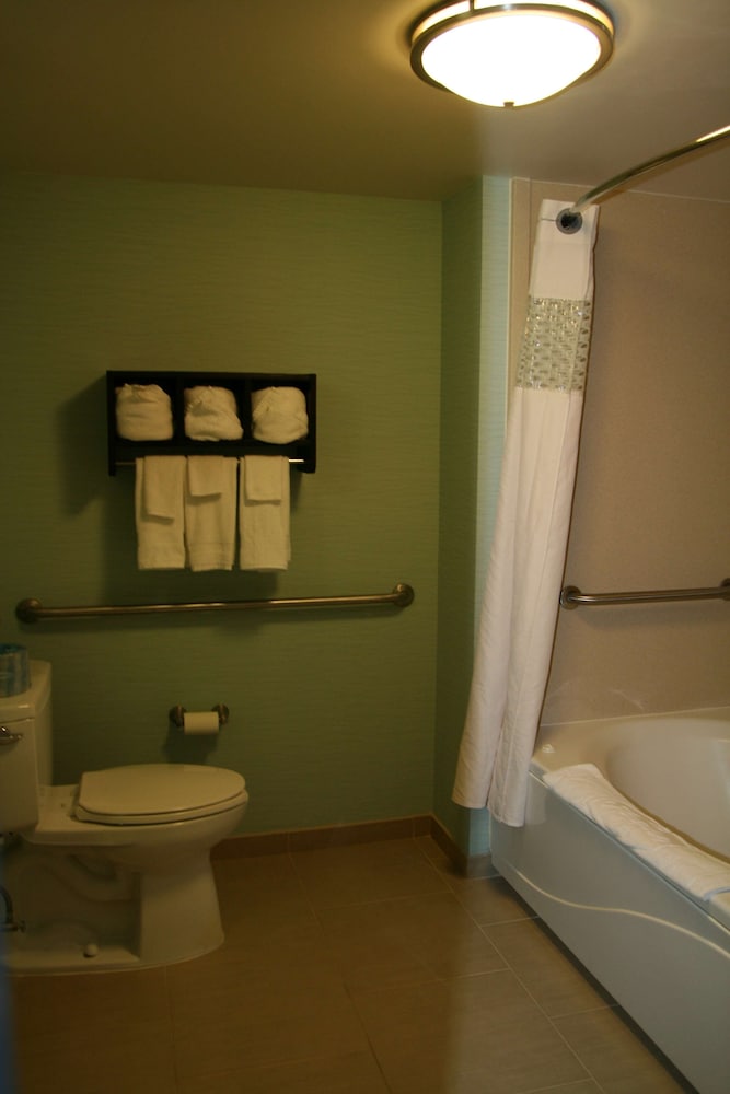Hampton Inn Shreveport Airport - photo 67