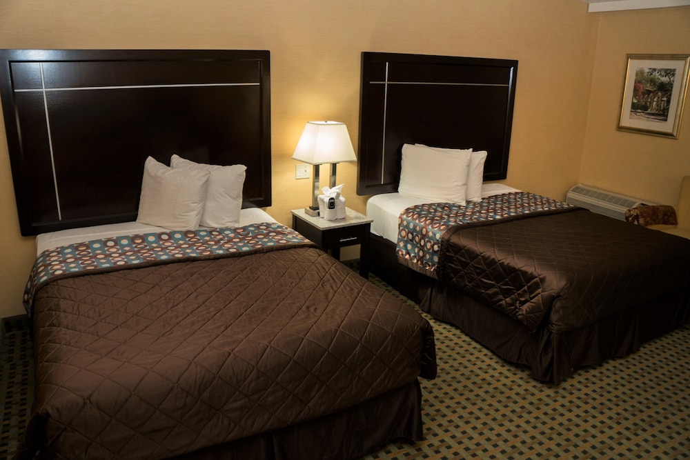 California Inn - photo 4