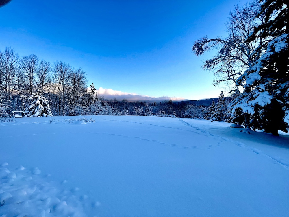 The Vermont Inn - photo 75