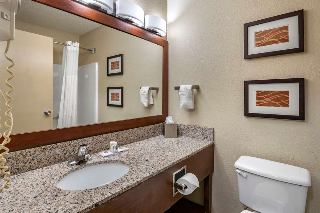 Comfort Inn Moline Quad Cities - photo 11