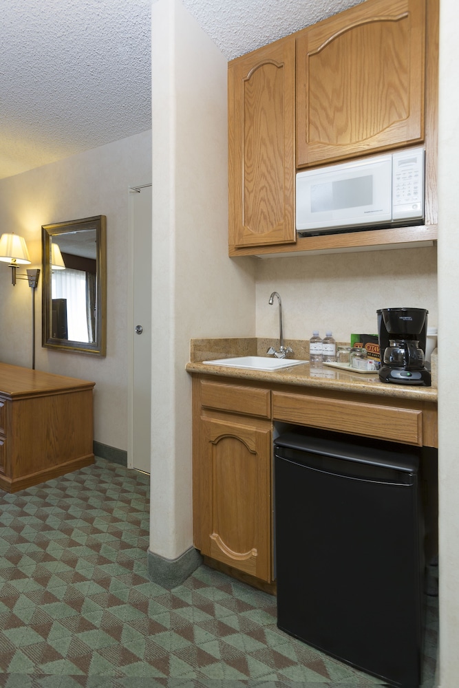 Borrego Springs Resort & Spa - photo 5