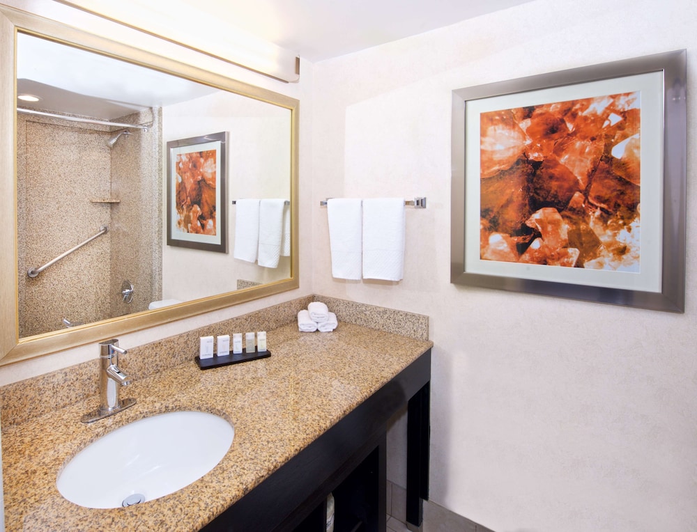 Embassy Suites by Hilton Colorado Springs - photo 46