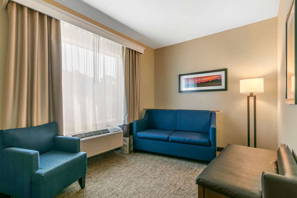 Comfort Suites Forrest City - photo 13