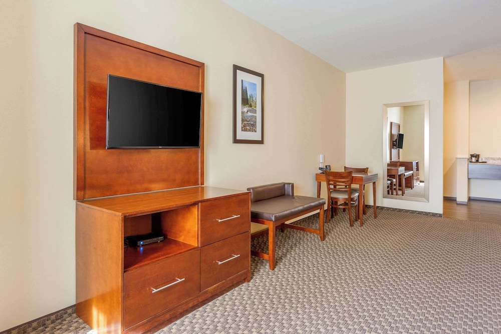 Comfort Suites Burlington near I 5 - photo 17