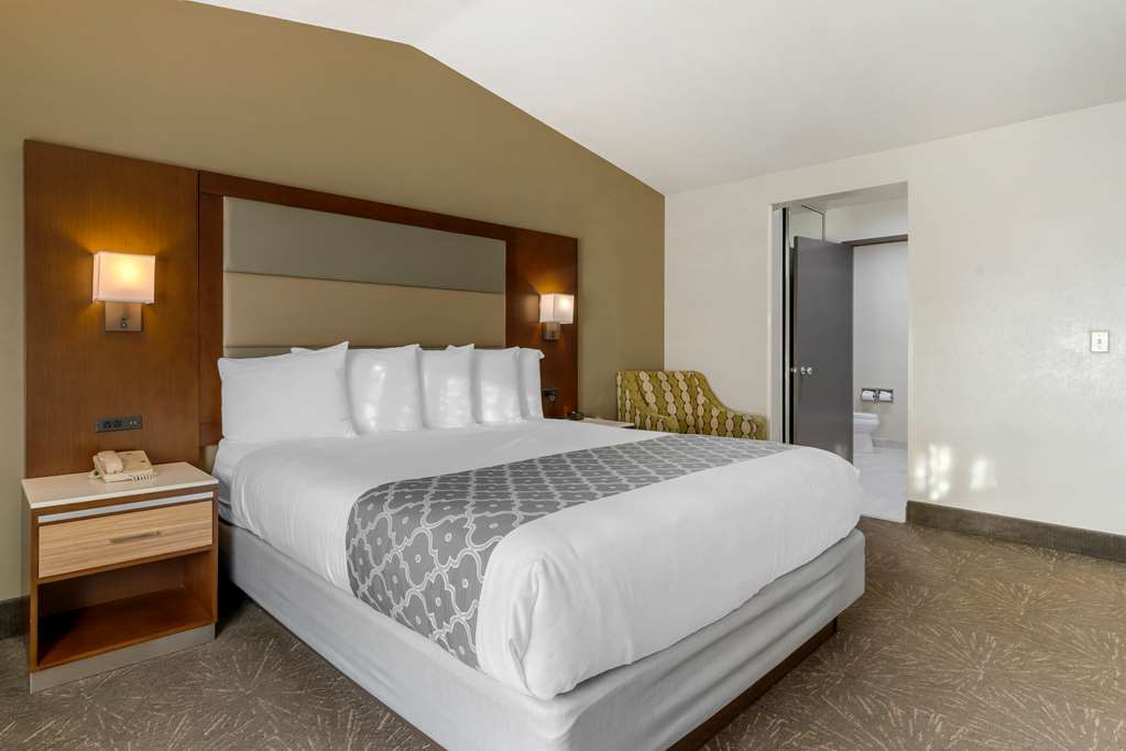 Best Western Plus Forest Park Inn - photo 42