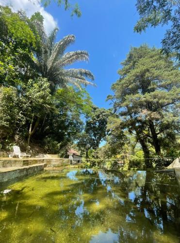 Fazenda Colomi Hospedagem Ecológica em Guapimim in Guapimirim, Brasil