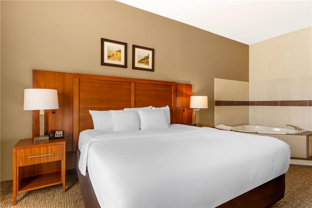 Comfort Inn & Suites Porter near Indiana Dunes - photo 7