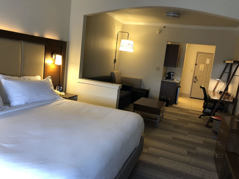 Holiday Inn Express Hotel & Suites Greenville by IHG - photo 7