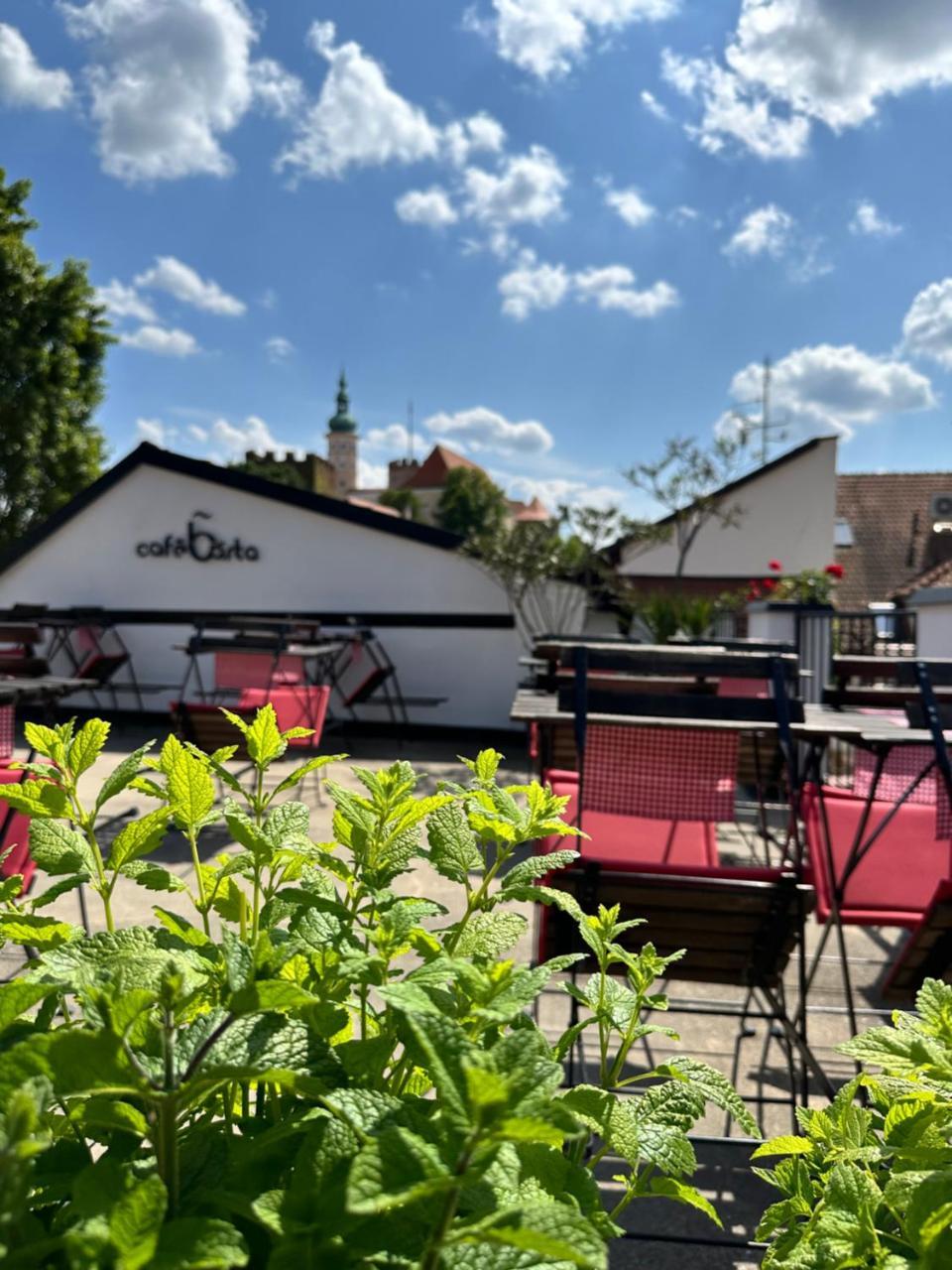 Penzion vinný sklep a café Bárta in Mikulov, Czech Republic