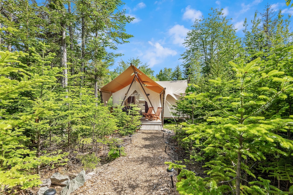 Under Canvas Acadia - photo 28