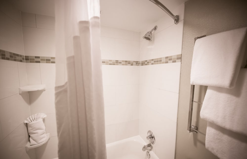 Holiday Inn Raleigh Downtown - photo 7