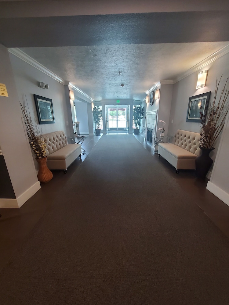 Sequoia Inn - photo 4