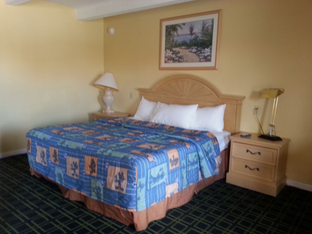 Budget Lodge of Mount Dora - photo 31