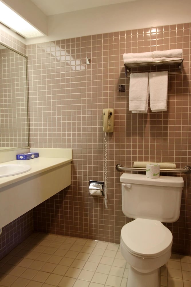 Metro Plaza Hotel - photo 20