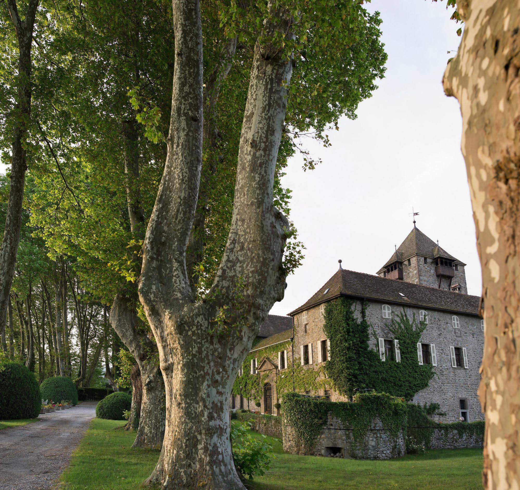 Château De Coudrée Les Collectionneurs