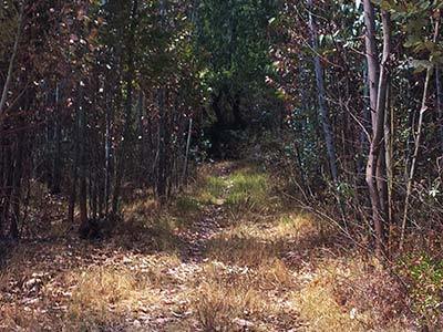 Checcollo Bungalows in San Jeronimo, Peru