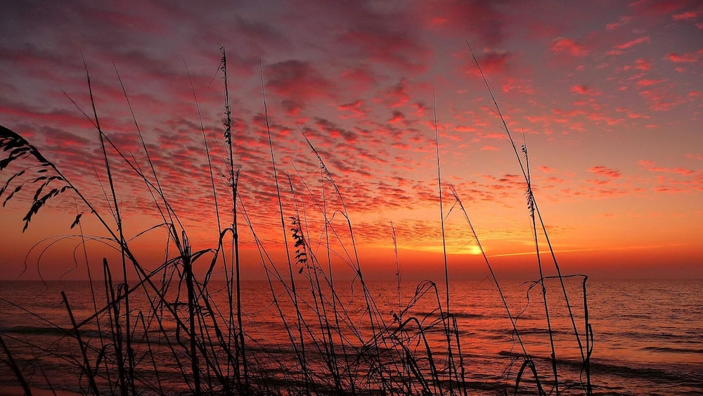 Sea Shell 24 — hotel in Indian Shores